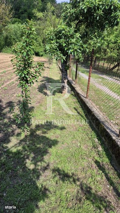 Casa cu 6 camere | Sitani | Bihor