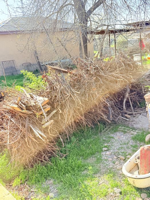 Отдам даром даром