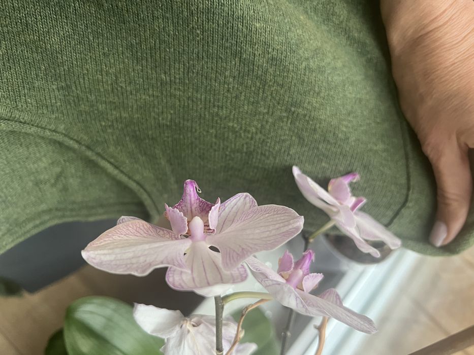 Lor Pulovar angora / blugi/ bluza mar M