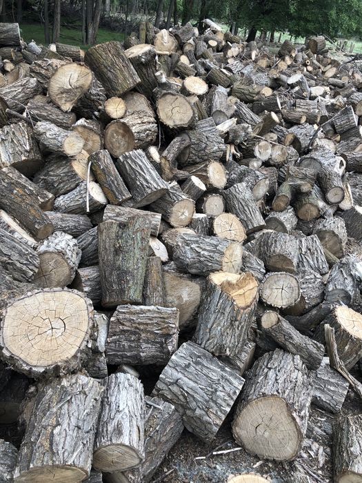 продам сухие дрова карагач