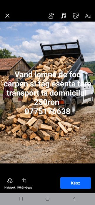 Lemne de foc carpen