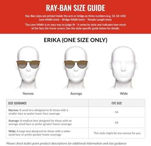 Ray-Ban RB4171 Erika слънчеви очила 54