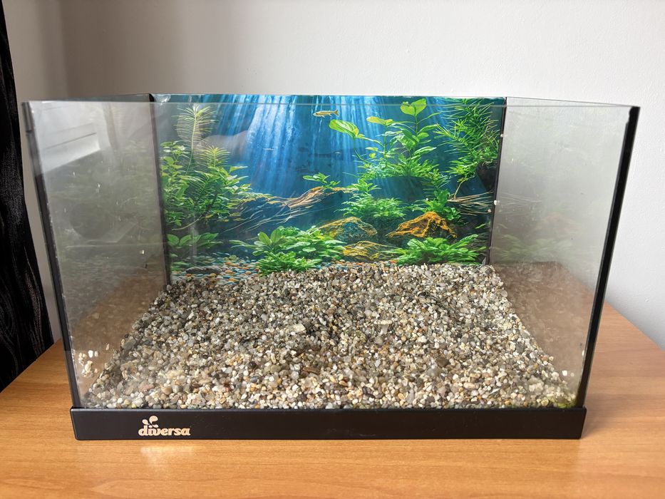 Set Acvariu Diversa 25 L