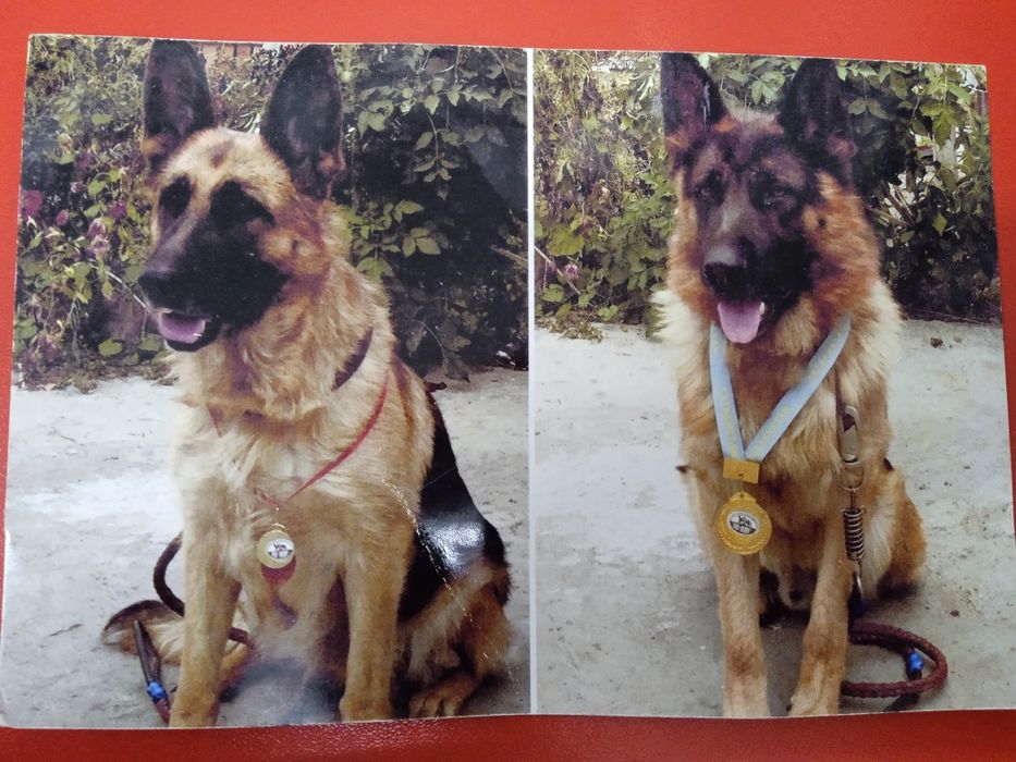 Вязка за 20 минут