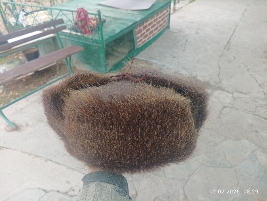 Нутривая Шапка Ушанка за 50000 сумов