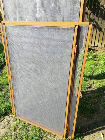 Plase țânțari (insecte)