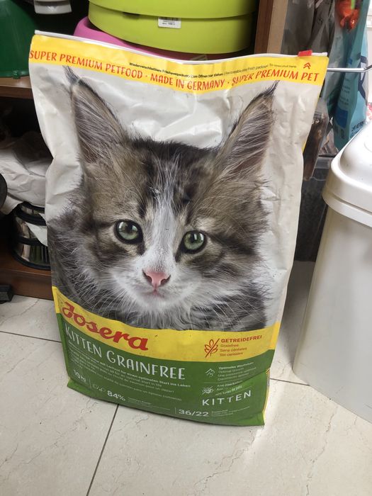 Сухой корм для котят