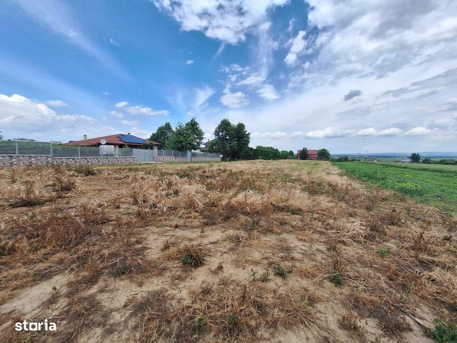 Loturi 500-1800mp Varianta Margineni-Hemeius