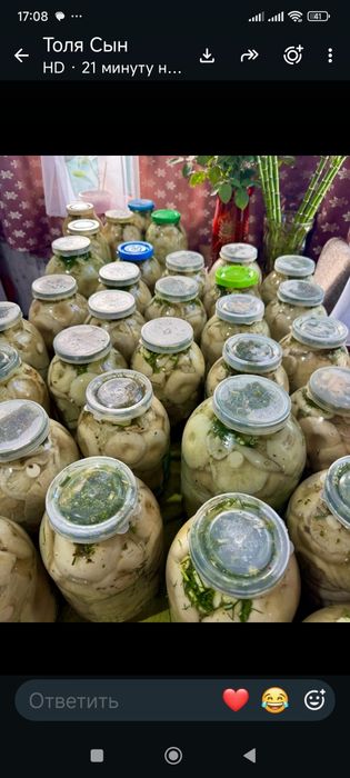 Продам грибы грузди