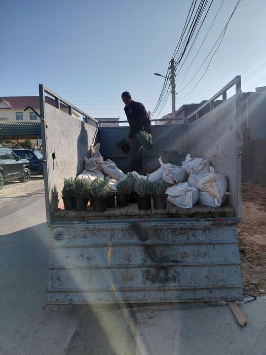 Грузоперевозки Газель