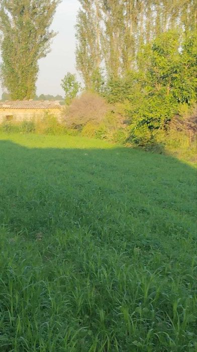 SHoshilinch yer sotiladiI!!! hamma qulayliklar bor