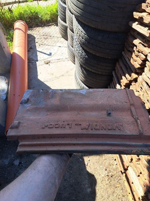 Țigle cu doua ciocuri