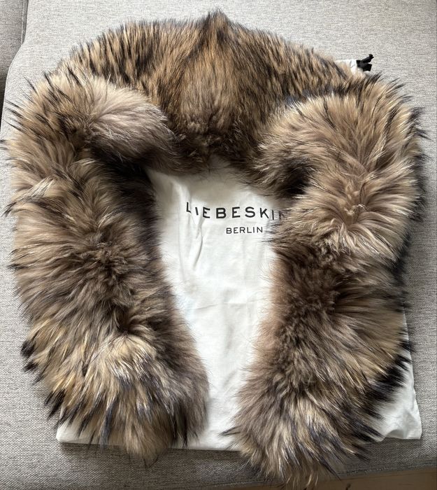 Пухена яка, енот, нова