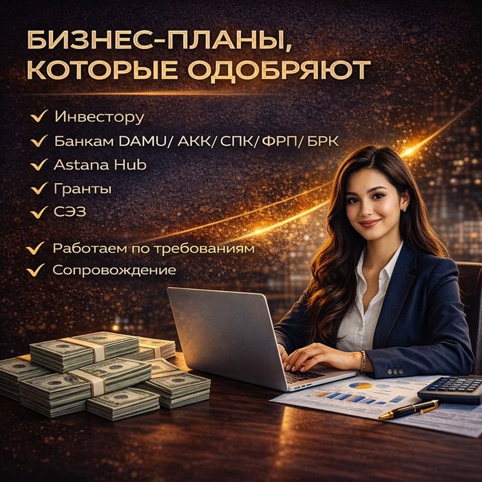 Бизнес-план, презентация, ТЭО, финансовая модель, СЭЗ, акимат, Даму