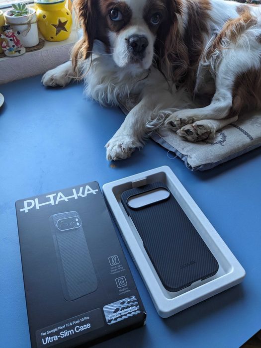 PITAKA карбонов калъф за Google Pixel 10 и 10 Pro