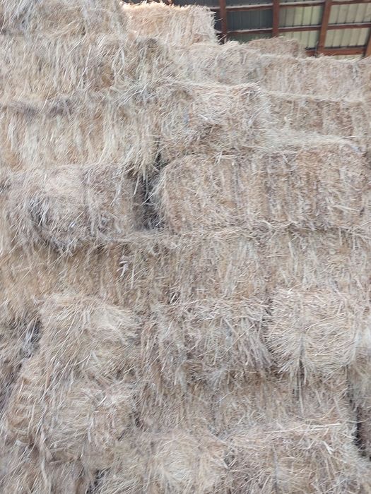 Vând  baloti de fan