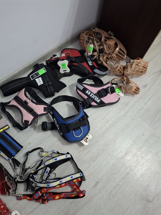 Caini si pisici accesori