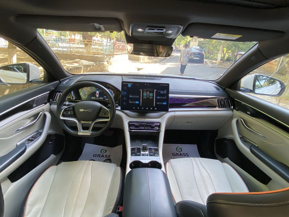 BYD chepiyon 2023