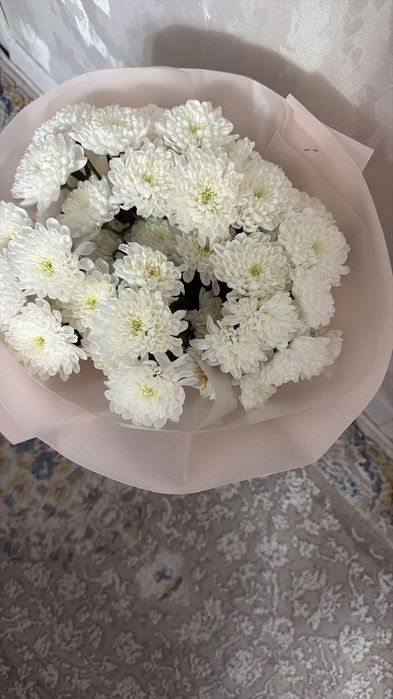 Хризантема цветы