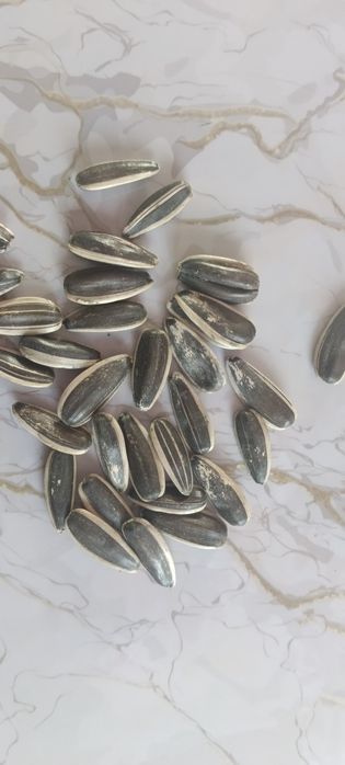 Семечки полосатые