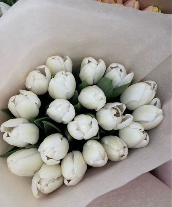 Тюльпаны в розницу Астана