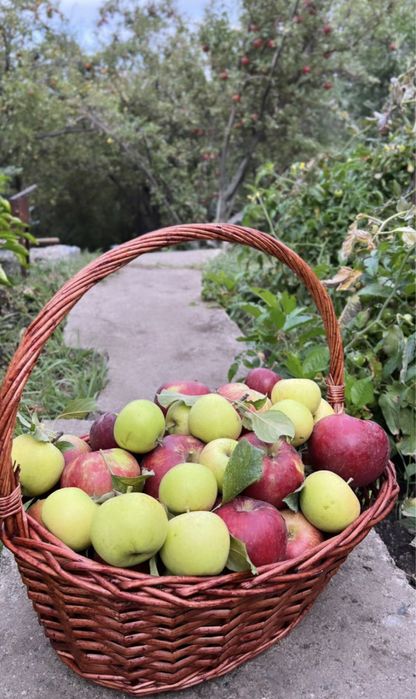 Дача «Родники» саяжай уйі