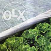 Folie microporoasa antiinghet agril solarii sere 23 gr/mp