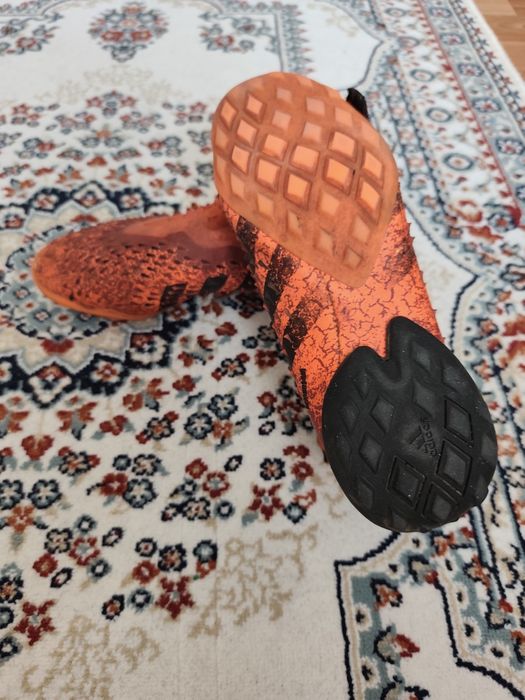 Продам сороконожки Predator