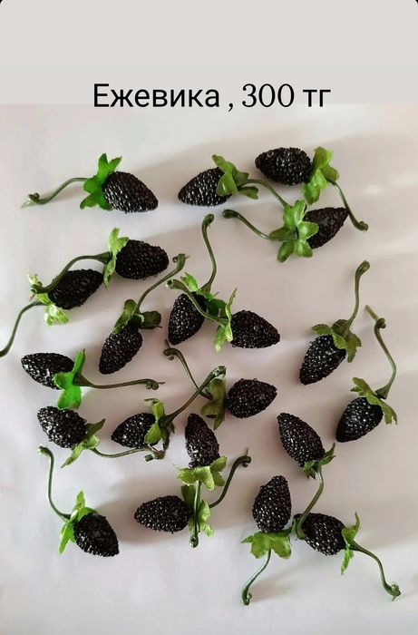 Муляжи фрукты овощи