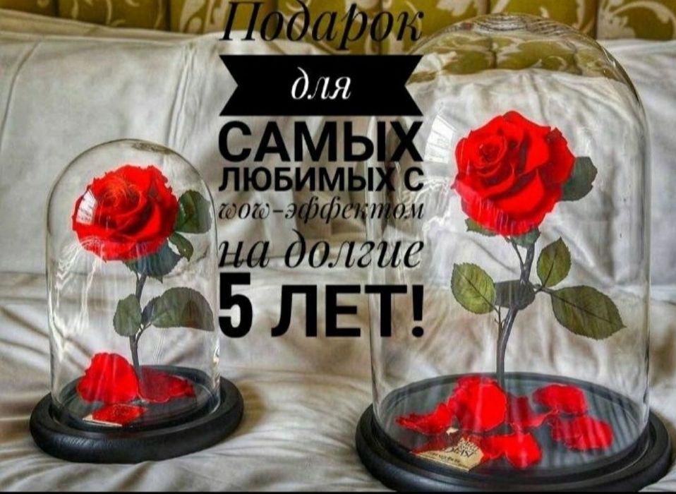 Супер-Подарок! Тренд сезона! Роза в колбе- оригинал!