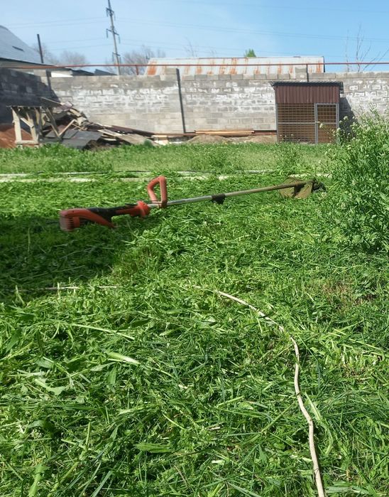 Покос травы. Разнотравие. Газон.