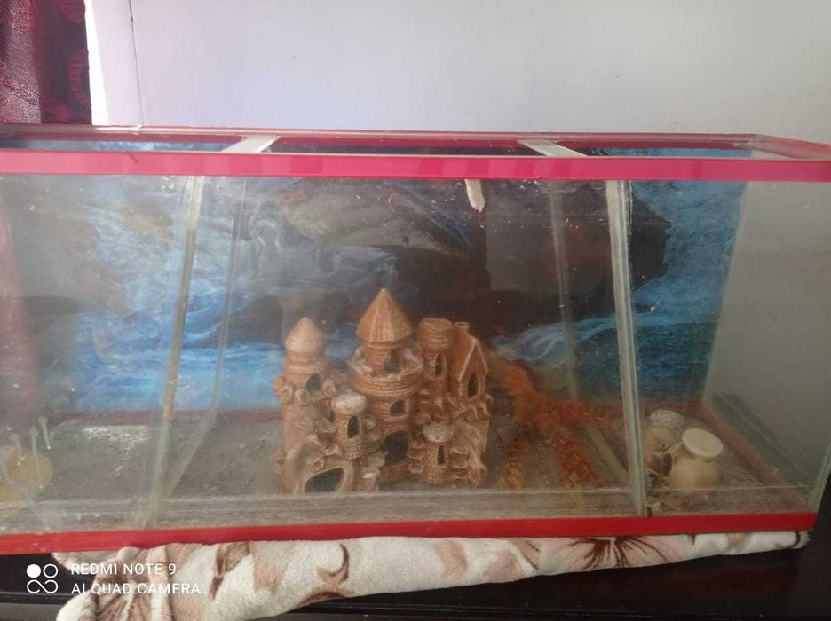 Аквариум                            .