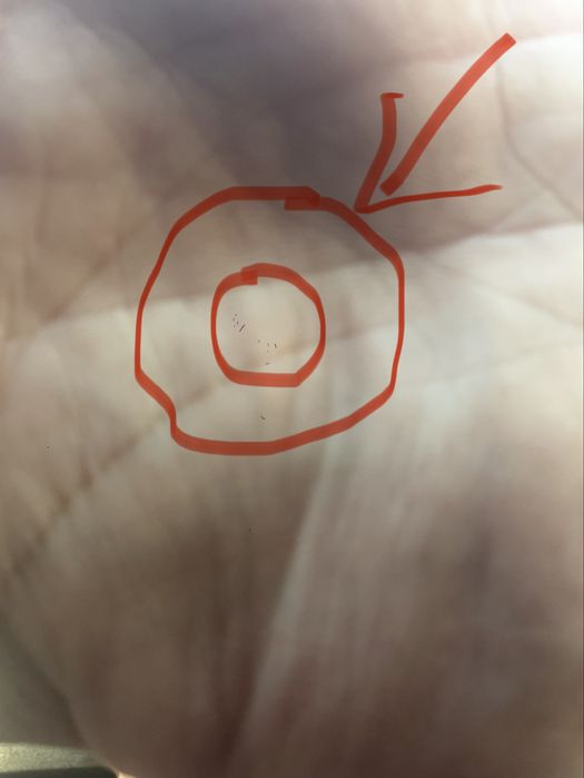 Iphone 17 pro max  256