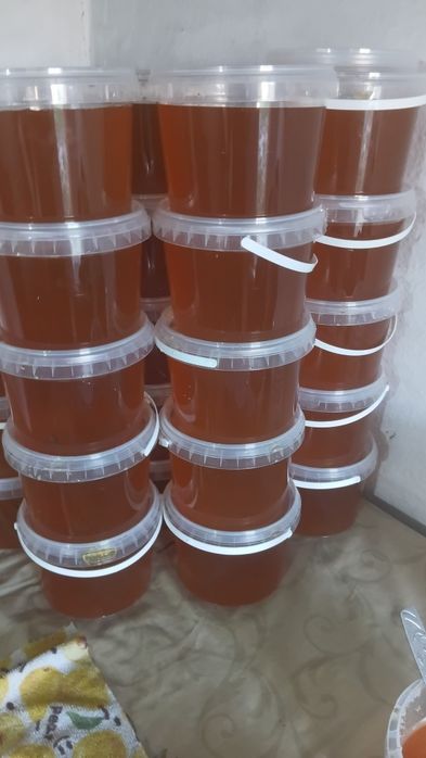 Продам мед урожай 2026 года