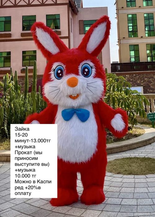 Аниматоры прокат и выступление