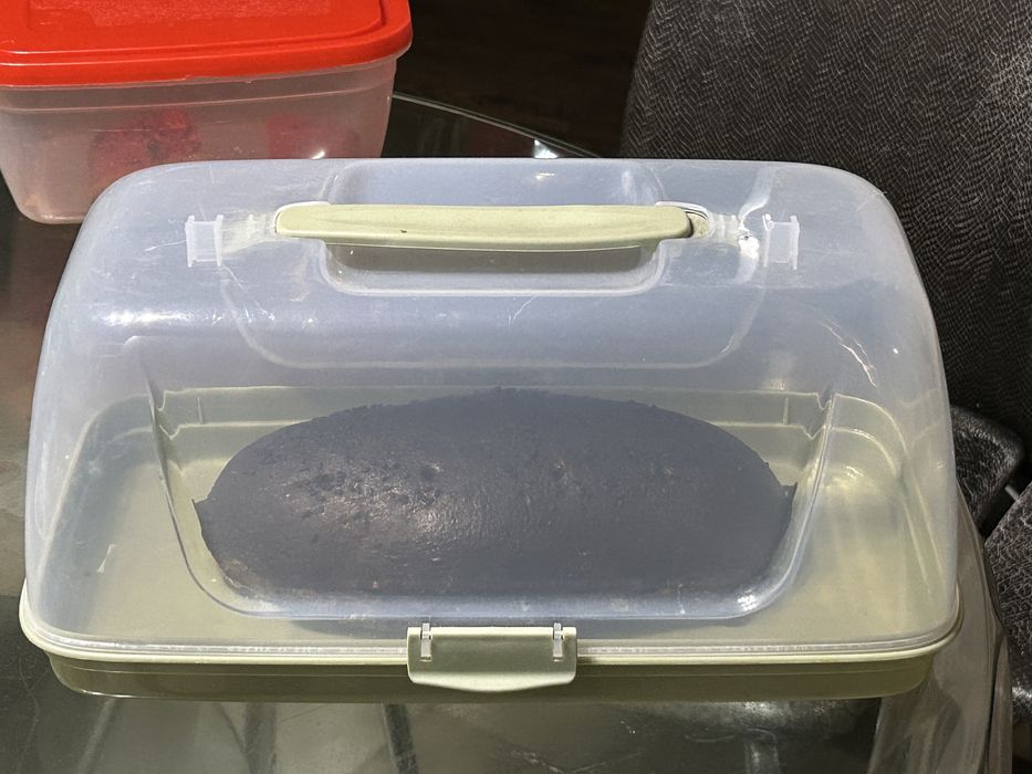 Хлебница пластик с