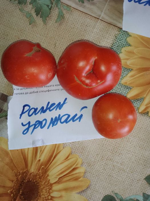 Семена за домати и други зеленчуци