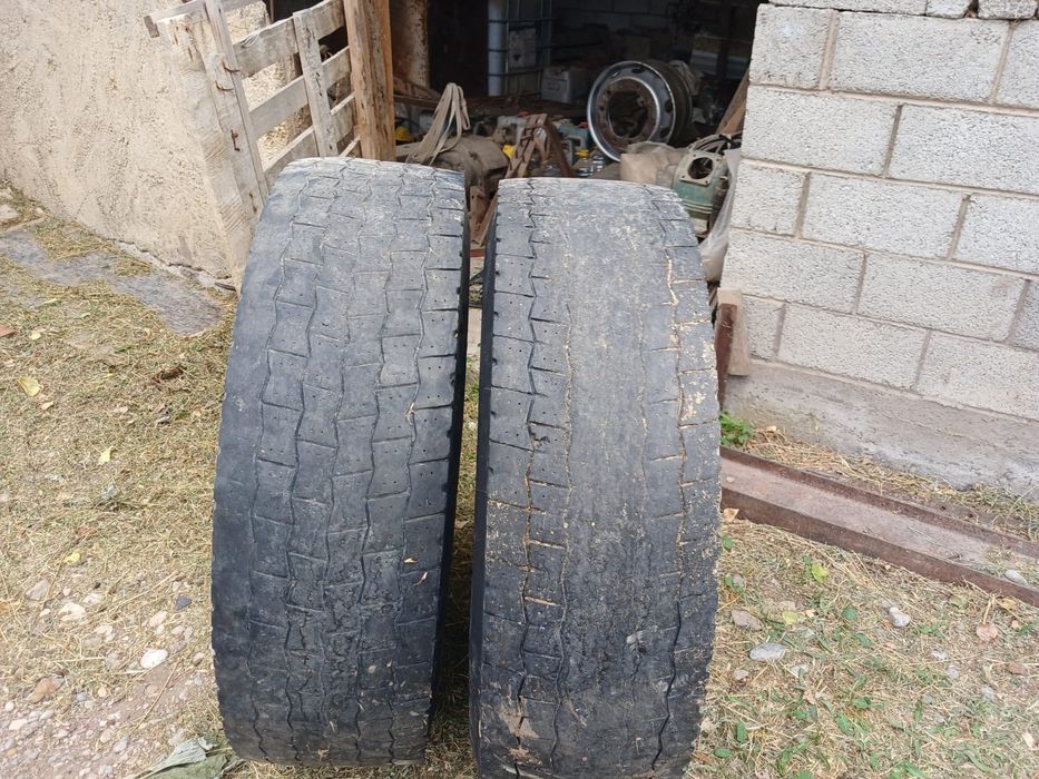 Мишилени ведущих