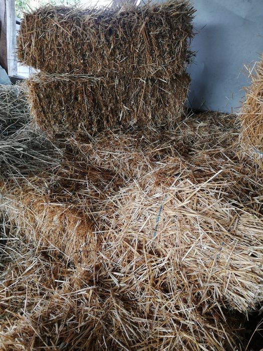 Vând baloti de paie și fân!