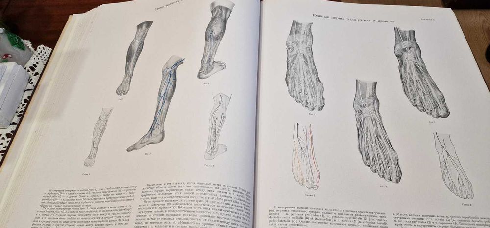 Медицински АТЛАС от 1949 г.