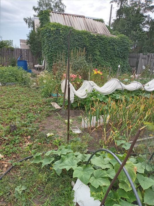 Продам дачу автомобилист