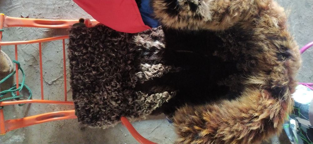 Санки с чехлом и мехом