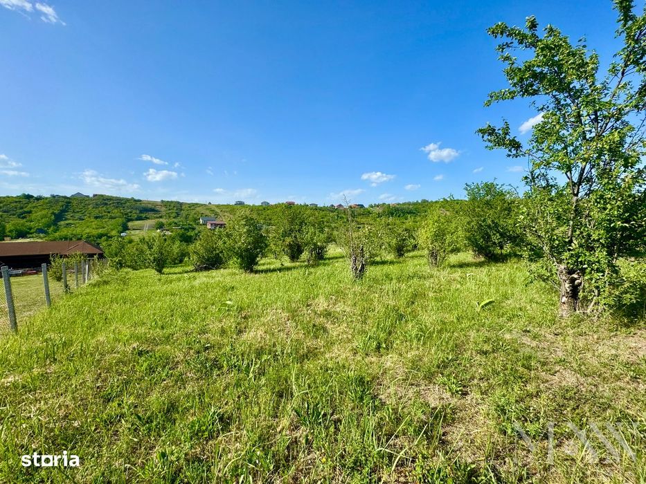 Teren intravilan de vanzare | zona Dealuri Oradea - str. Livezilor