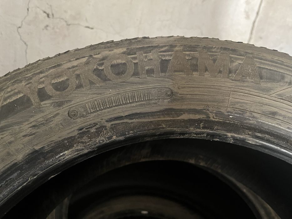 Шины липушка зима