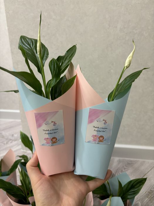 Тойбастар. Женское счастье