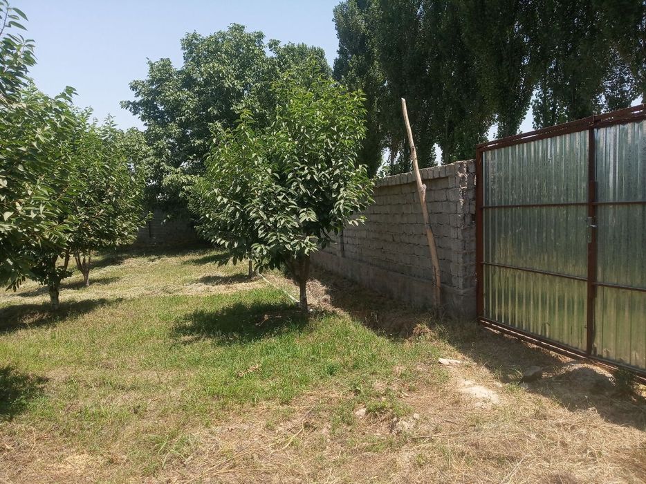 Продаётся земельный участок в Янгиюле