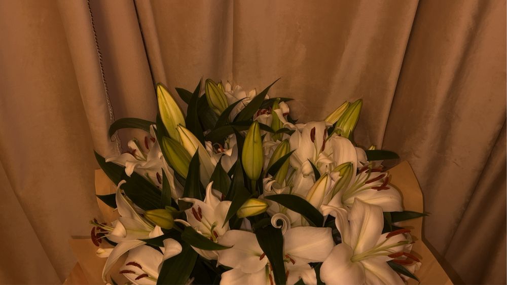 Свежие метровые лилии!