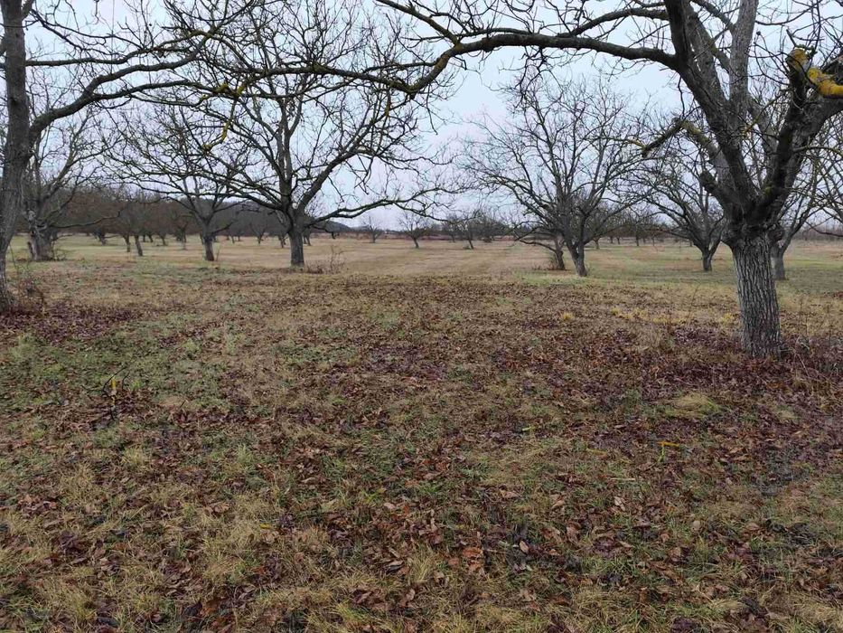 Продава се Земеделски имот в Стара Загора, Център -  кв.м за 3188 €/дка - Снимка #5