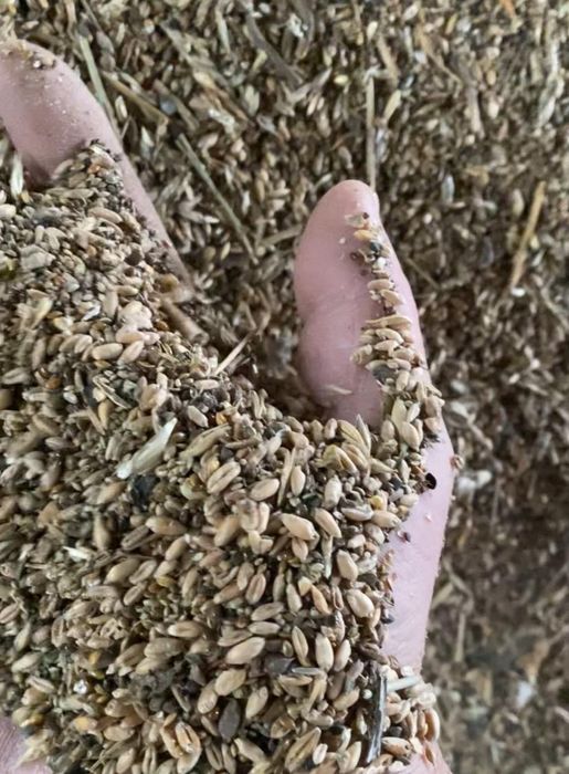 Продам зерноотходы