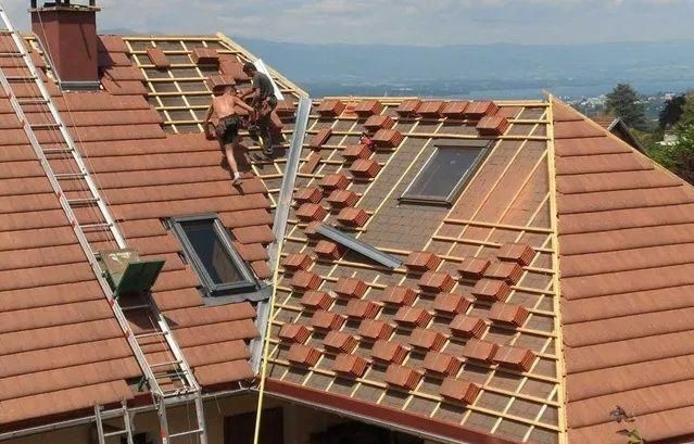 Meseriași profesioniști